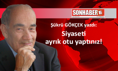 Siyaseti ayrık otu yaptınız!