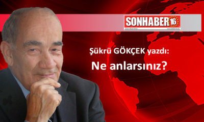 Ne anlarsınız?