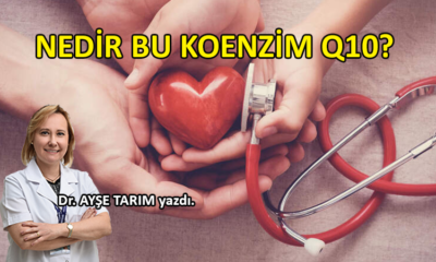 KOENZİM Q10