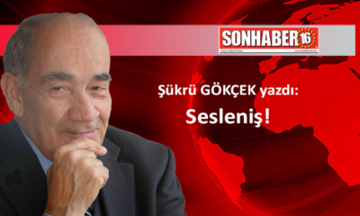 Sesleniş!