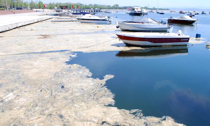 Marmara Denizi’nin dibi de salya…