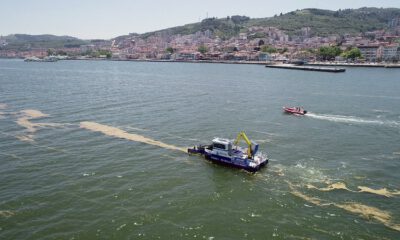 Mudanya’da denizde müsilaj temizliği yapılıyor