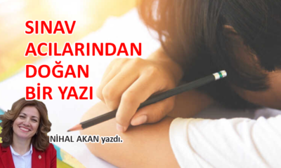 Sınav acılarından doğan bir yazı