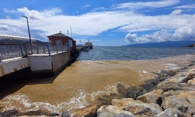 Gemlik Körfezi’nde deniz salyası kıyı bölgelerde yoğunlaştı