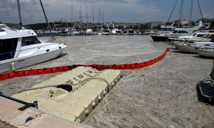 Marmara’da müsilaj temizleme seferberliği