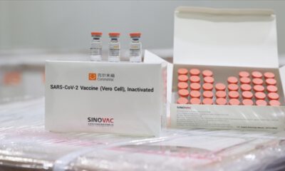 DSÖ’den Sinovac aşısının acil kullanımına onay