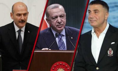 Sedat Peker: Siz yine de verin mehteri!