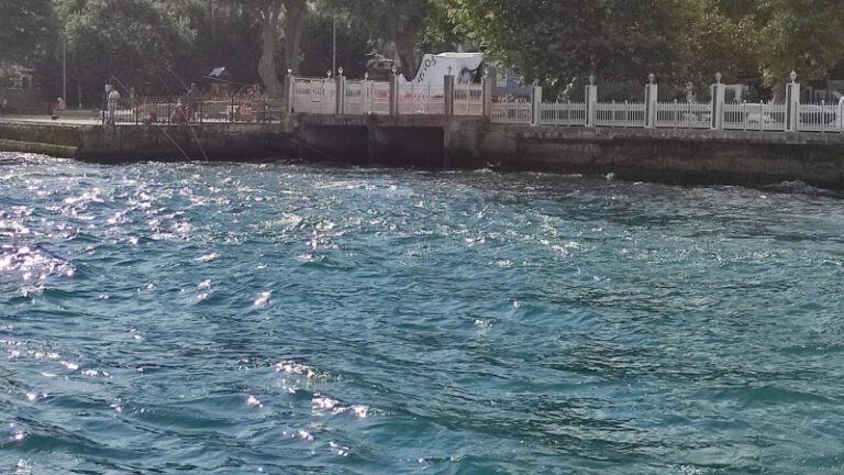 Bu Kurban Bayramı’nda Boğaz, kırmızıya boyanmadı