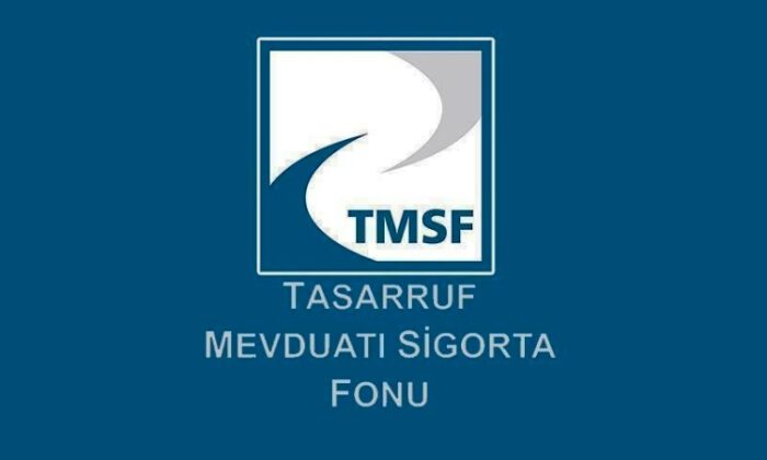 21 tasarruf finansman şirketinin tasfiyesini TMSF yönetecek