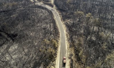 Yangın bölgeleri ‘Afet Bölgesi’ ilan edildi