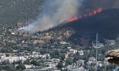 Bodrum’da orman yangını büyüyor