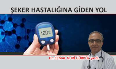 Şeker hastalığına giden yol