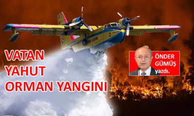 Vatan yahut Orman Yangını