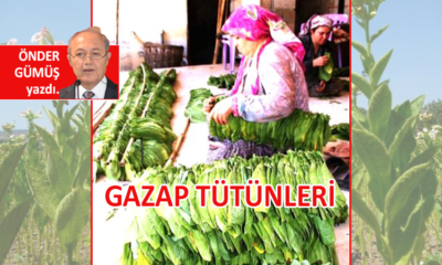 GAZAP TÜTÜNLERİ