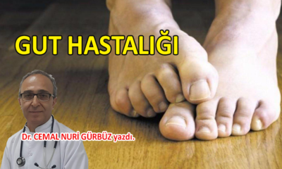 Gut hastalığı