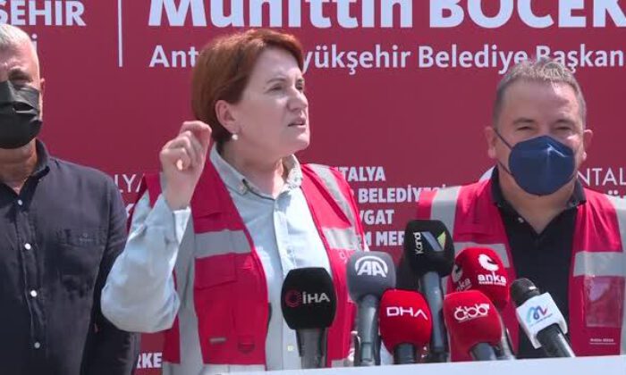 Meral Akşener: Orman yangınlarına sebep olanlar terör üyeliği ile yargılanmalı