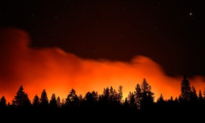 Yerküre, orman yangınlarının etkisi altında