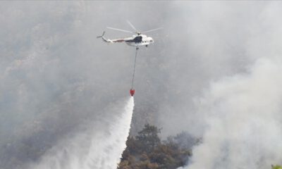 47 ilde 209 orman yangını kontrol altına alındı