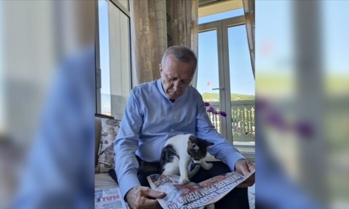 Erdoğan’dan ‘Pıt Pıt Şeker’li paylaşım!