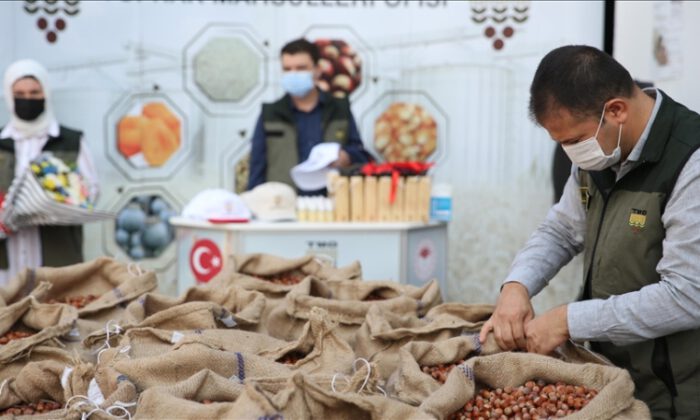 TMO fındık ödemelerine bugün başlıyor