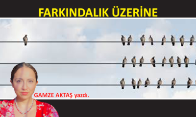 Farkındalık üzerine