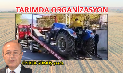 Tarımda organizasyon