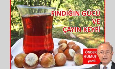 Fındığın gücü ve çayın keyfi