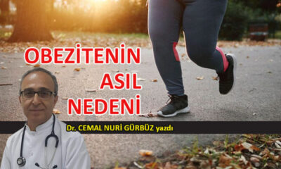 Obezitenin asıl nedeni