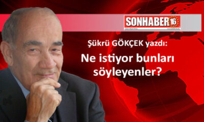 Ne istiyor bunları söyleyenler?