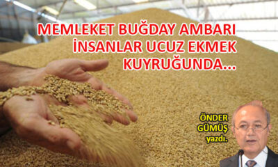 Memleket buğday ambarı, insanlar ucuz ekmek kuyruğunda