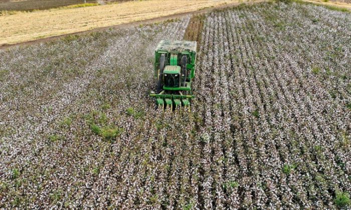 Çiftçilere tarımsal destek ödemesi hesaplarda