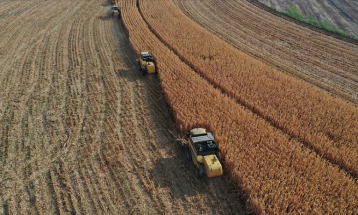 Pakdemirli: Tarımsal destek ödemeleri başladı