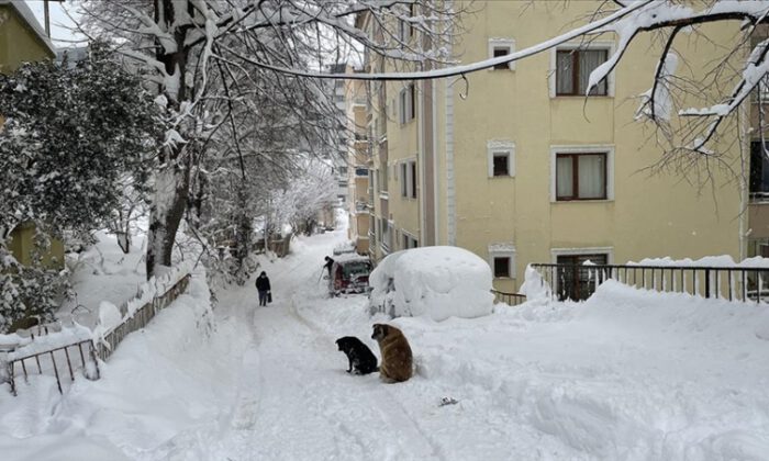 Bazı il ve ilçelerde eğitime kar arası