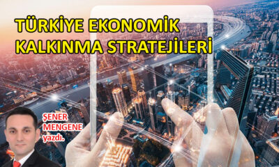 Türkiye ekonomik kalkınma stratejileri