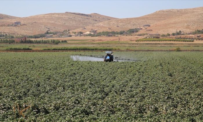 Tarım Kredi, gübre fiyatlarında indirim yaptı