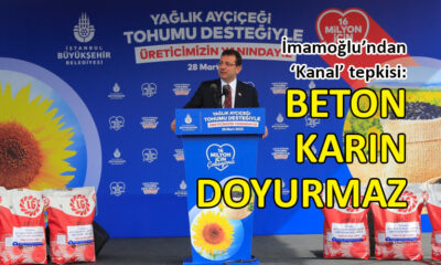 İBB, yağlık ayçiçek tohumu dağıtımını başlattı