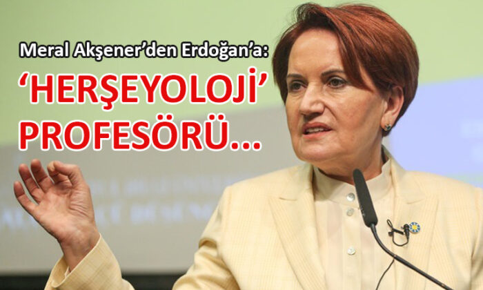 İYİ Parti lideri Akşener, Erdoğana sert çıktı