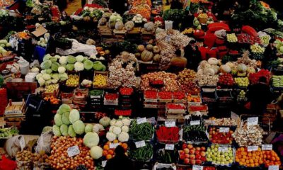 Şubat’ta 255,6 milyon dolarlık yaş sebze meyve ihracı
