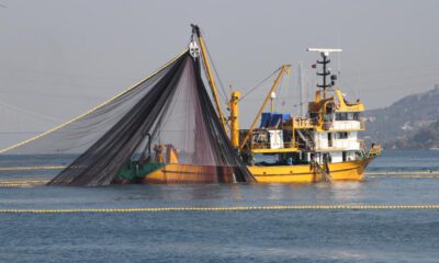 Flaş karar: Karadeniz’de balık avı yasaklandı