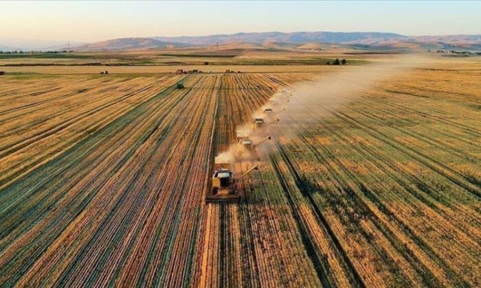 Kırsal kalkınma projelerine verilecek hibe destekleri açıklandı