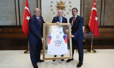 Erdoğan, Anadolu Efes’i kabul etti