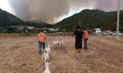 Marmaris’teki yangının faili tutuklandı