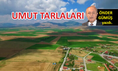 Umut Tarlaları