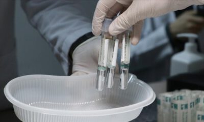 THY’den ‘PCR test raporu’ açıklaması