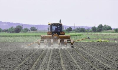 Tarımsal destekleme ödemeleri bugün hesaplara yatırılıyor