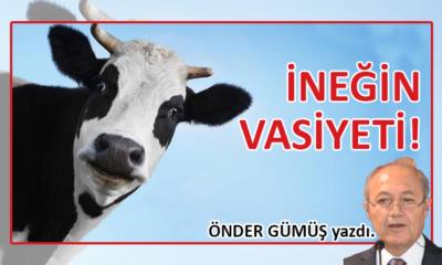 İneğin Vasiyeti!