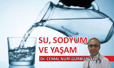 Su, sodyum ve yaşam