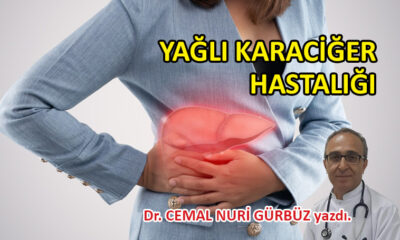 Yağlı Karaciğer Hastalığı