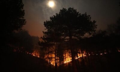 Kaz Dağları’nda orman yangını