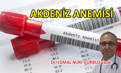 Akdeniz Anemisi